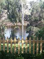Alexandria Bed & Breakfast