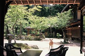 Iwaso