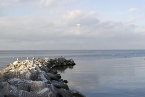 Lagunenstadt Ueckermünde