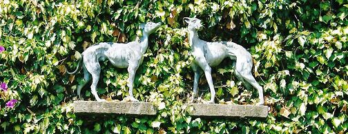 The Greyhound Coaching Inn