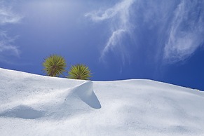 Alta Vista Suites