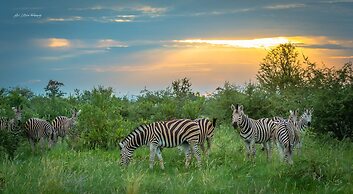 Impodimo Game Lodge