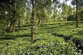 Banasura Hill Resort