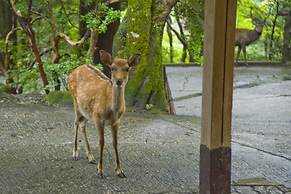 Nara Kasugaokuyama Tsukihitei