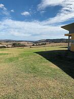 Lush Pastures