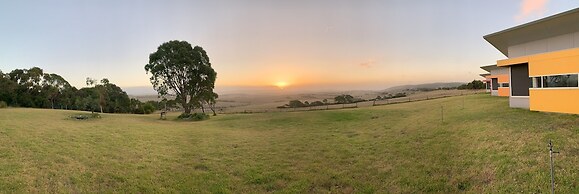 Lush Pastures
