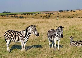 Tala Game Reserve