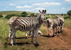 Tala Game Reserve