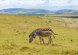 Tala Game Reserve