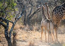 Tala Game Reserve
