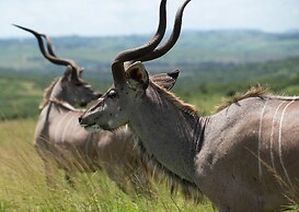 Tala Game Reserve