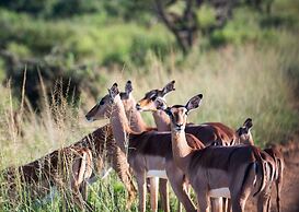 Tala Game Reserve