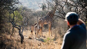 Tala Game Reserve