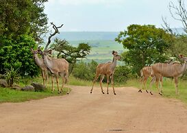 Tala Game Reserve
