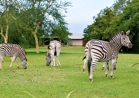 Tala Game Reserve