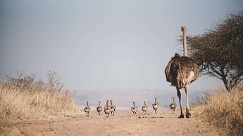 Tala Game Reserve