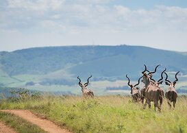 Tala Game Reserve