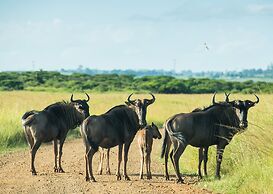 Tala Game Reserve