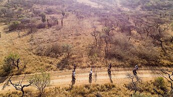 Tala Game Reserve