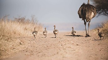 Tala Game Reserve