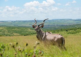 Tala Game Reserve