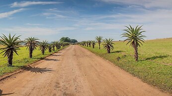 Tala Game Reserve