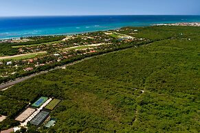 The Westin® Puntacana Resort