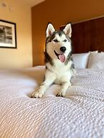 Four Points by Sheraton Kelowna Airport