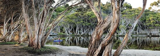 Sea Dragon Kangaroo Island
