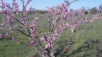 Taralee Orchards