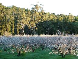 Taralee Orchards