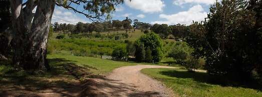 Taralee Orchards