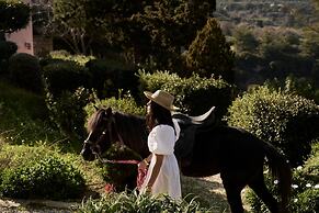Eliathos Hillside Retreat