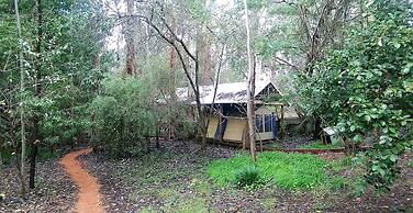 The Black Cockatoo Nannup