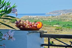 Hotel Naxos Filoxenia