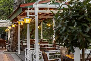 Forest Park Hotel