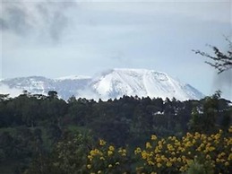 Kaswende Farm