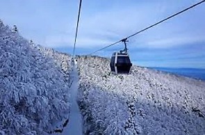 Bursa Palas