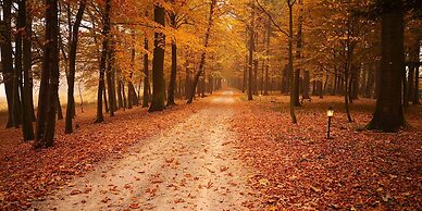 Dwór Sieraków