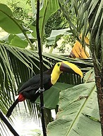 Hotel El Encanto