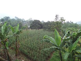 Hotel Nadia Bromo