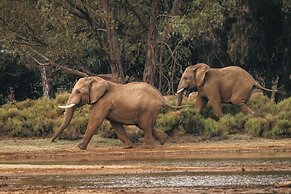 Aquila Private Game Reserve & Spa