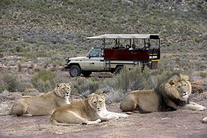 Aquila Private Game Reserve & Spa