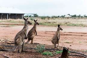 Saltbush Retreat