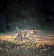 Karongwe - Kuname Safari Lodge