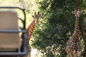 Karongwe - Kuname Safari Lodge