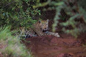 Karongwe - Kuname Safari Lodge