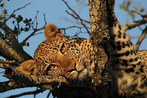 Karongwe - Kuname Safari Lodge