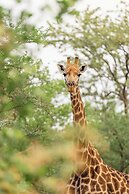 Karongwe - Kuname Safari Lodge