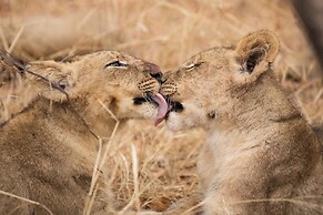Karongwe - Chisomo Safari Camp